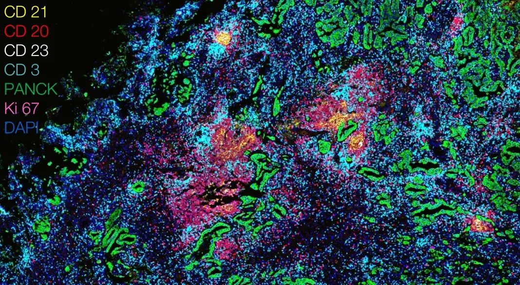 开封开封蔡司显微镜